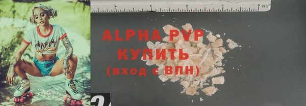 ПСИЛОЦИБИНОВЫЕ ГРИБЫ Инта