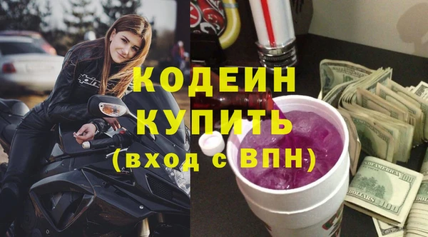 гидра Инсар