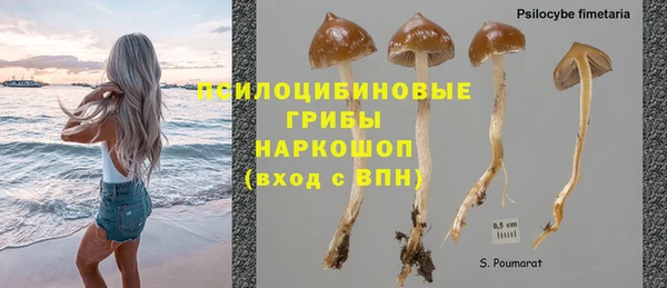 дурь Алексеевка