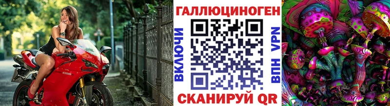 Псилоцибиновые грибы Psilocybine cubensis  Нижние Серги 
